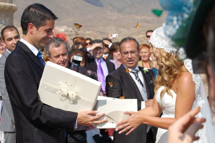 mariposas-en-tu-boda